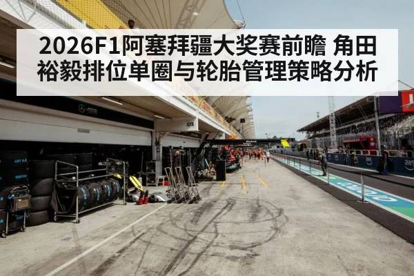 Formula 1 racing tires pit stop strategy
