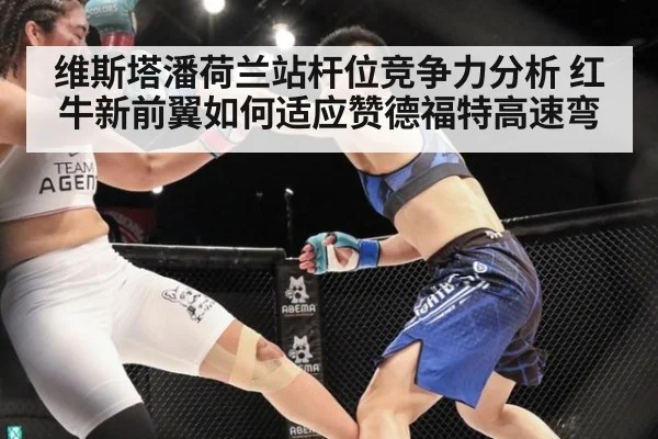 维斯塔潘荷兰站杆位竞争力分析 红牛新前翼如何适应赞德福特高速弯